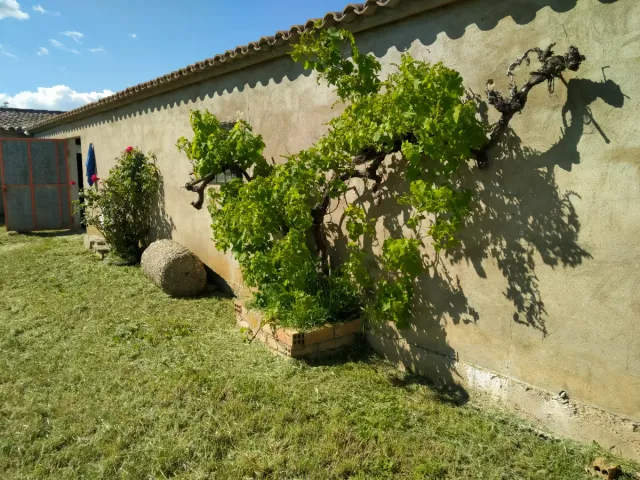 Terreno rústico con escritura i edificación Huesca