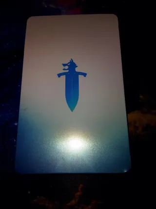 Pokemon Escudo Special Edition 