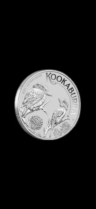 ONZA DE PLATA Kookaburra