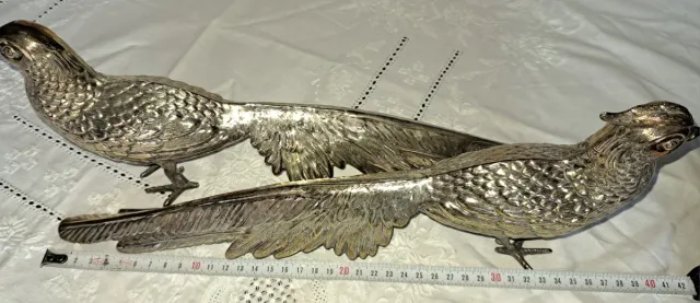 Pareja Faisanes Plateados Decorativos