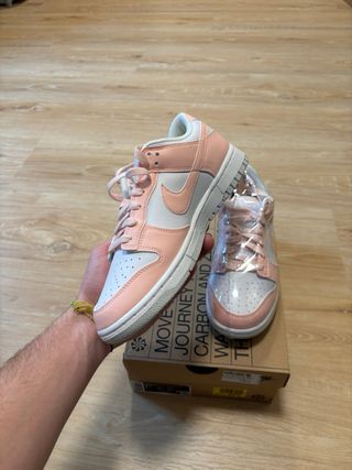 Nike Dunk Low Next Nature Pale Coral 