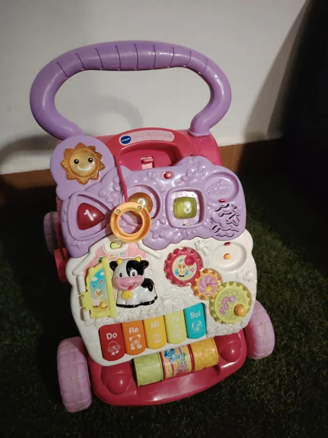 VTech Correpasillos Andandín 2en1