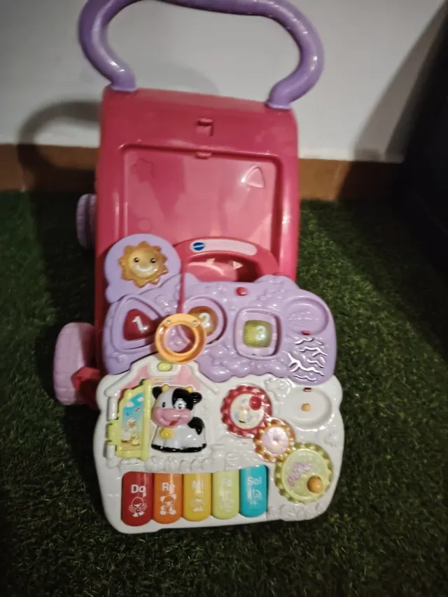 VTech Correpasillos Andandín 2en1