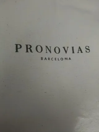 Vestido de Novia Pronovias con accesorios.