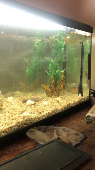 Pecera 200L está nueva  