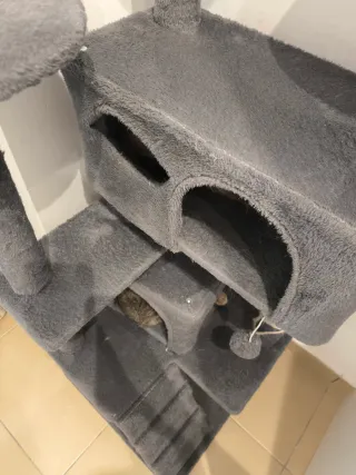 Rascador para gatos de tela