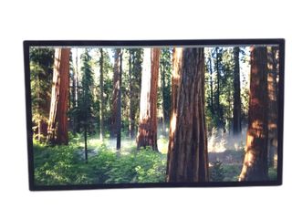 monitor led apple a2525