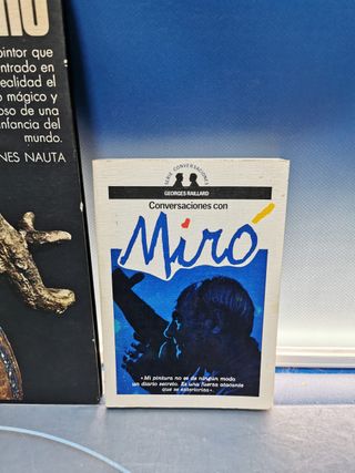 Libri e riviste, in particolare Joan Miró, sono fuori produzione