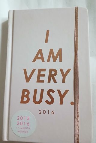 Agenda 2015-2016 I Am Very Busy