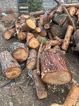 Leña de pino cortada