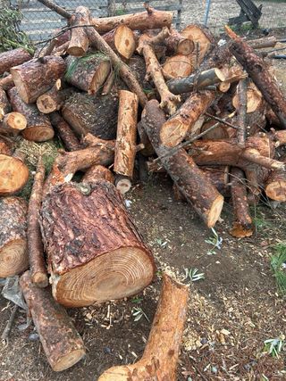 Leña de pino cortada