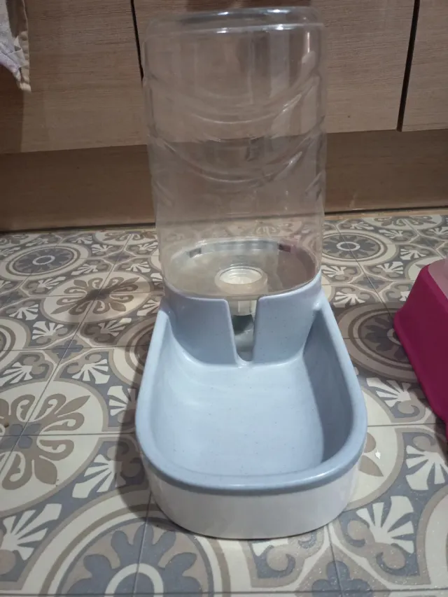 Bebedero y comedero para gatos