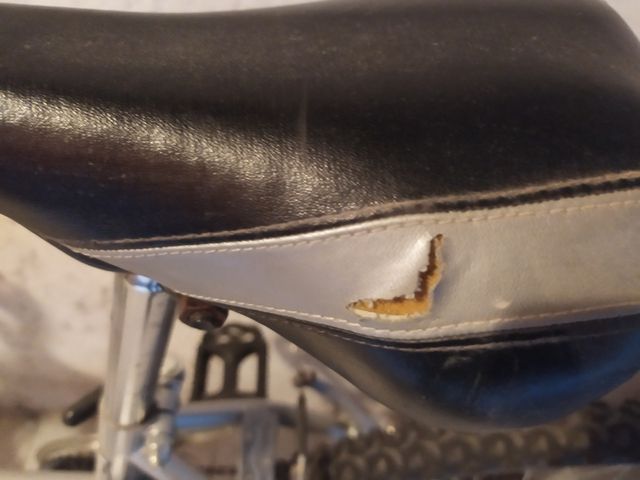 Bici da donna taglia 26