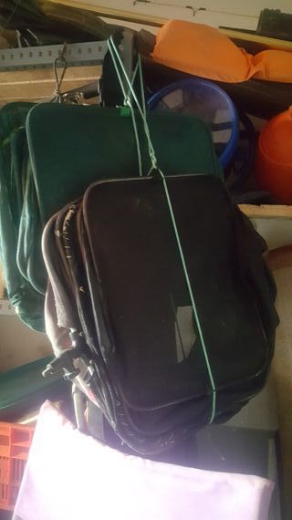 Carretes de pesca para siluro y carpa