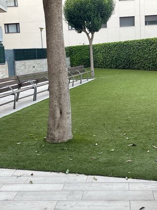 trabajo el limpieza 