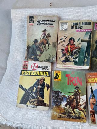 novelas vaqueros Estefanía, 