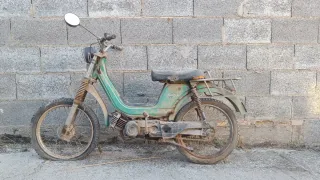 Derbi Variant T.T. Verde