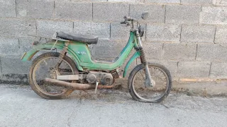Derbi Variant T.T. Verde