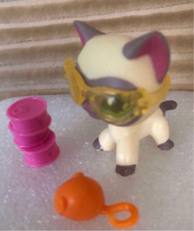 Littlest Pet Shop Gato Siamés #1116