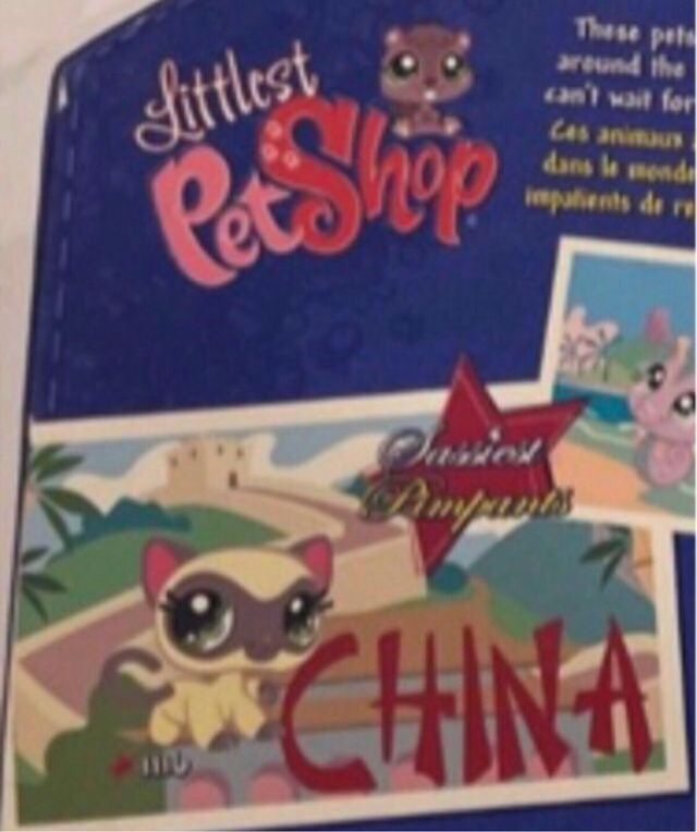 Littlest Pet Shop Gato Siamés #1116
