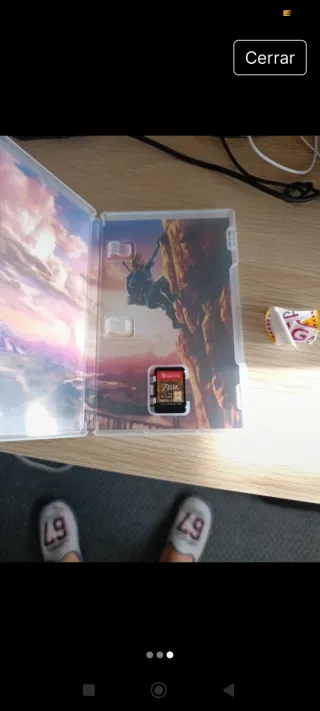 Zelda Breath of the Wild Nintendo Switch