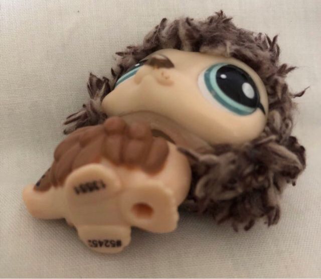 Littlest Pet Shop Erizo #2426