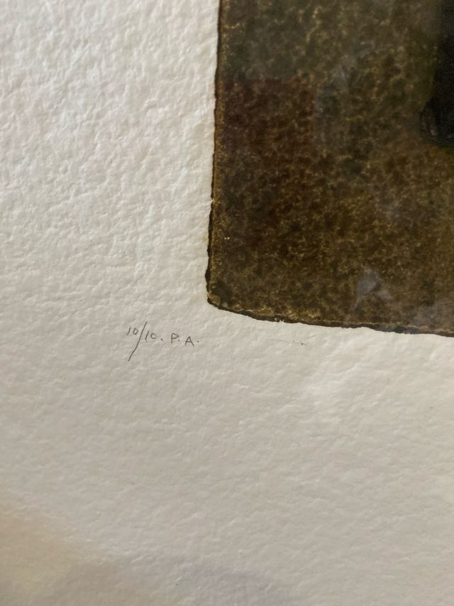 Grabado de Ripollés