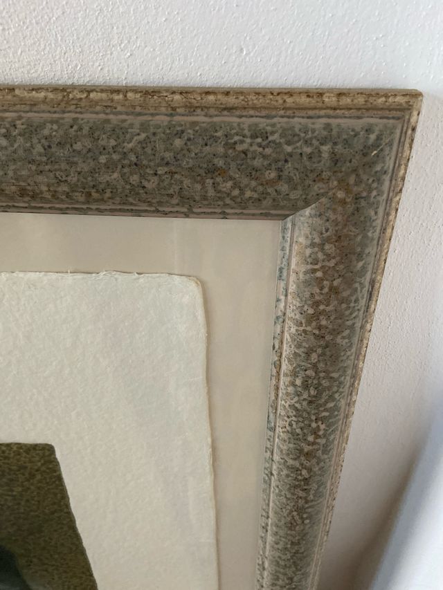 Grabado de Ripollés