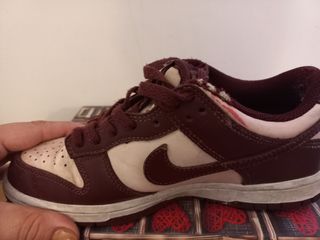 Nike Dunk Beige/Marrone Sneakers