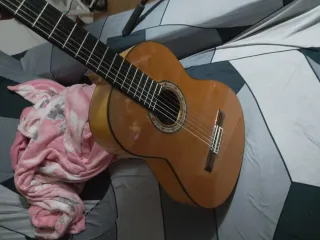 Guitarra flamenca Manuel Guillena cambio por otra