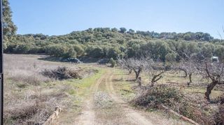 Casa rural en venta en Iznalloz