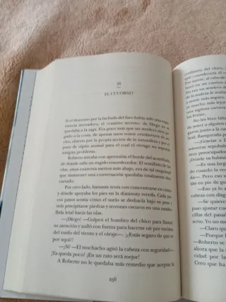 Cuando la tormenta pase: Premio de Novela Ferna...