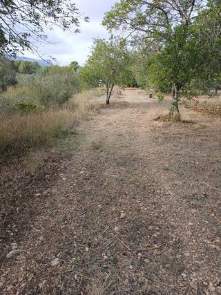 Terreno en venta en Mont-Roig en Mont-Roig del Camp