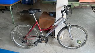 Bicicleta de montaña Romester 21