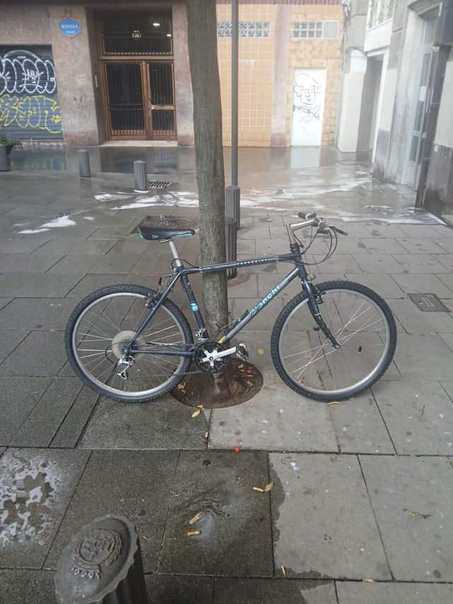 Bicicleta Bianchi Peregrine Edición Limitada