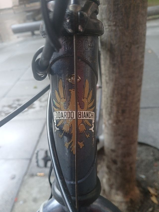 Bicicleta Bianchi Peregrine Edición Limitada