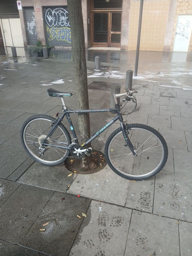 Bicicleta Bianchi Peregrine Edición Limitada