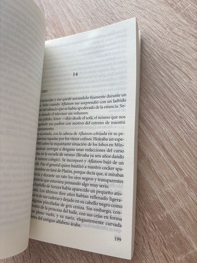 Cometas en el cielo/ The Kite Runner