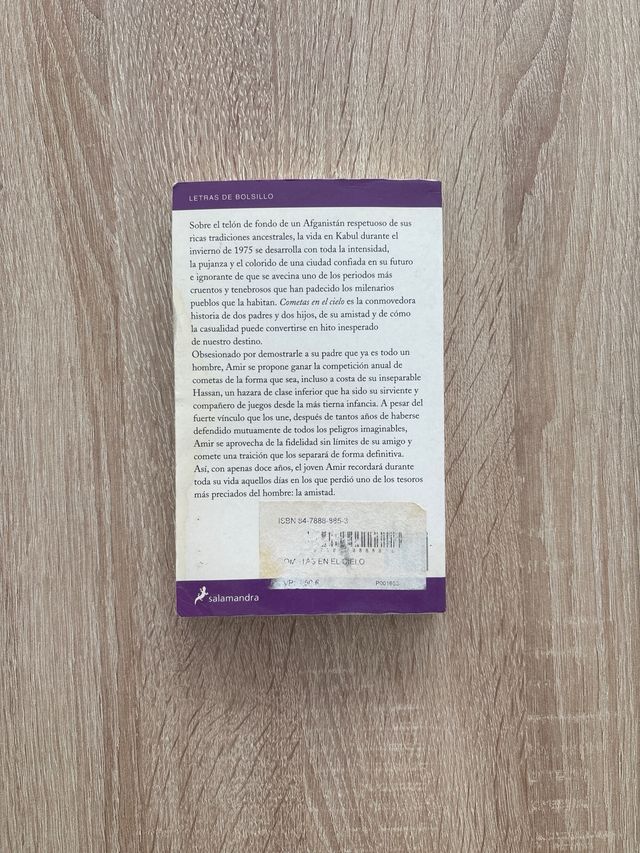 Cometas en el cielo/ The Kite Runner