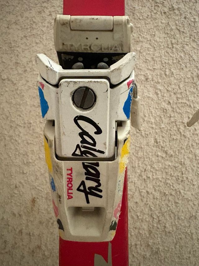 Esquís DYNAMIC VR27 con fijaciones