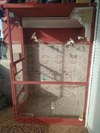 Voladero para pájaros grande
Con todo incluido 