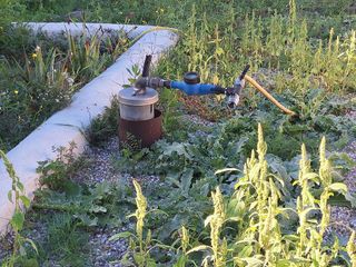 Terreno en venta en Manacor Centro en Manacor