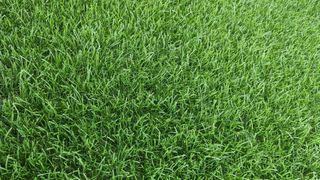 Césped artificial reciclado