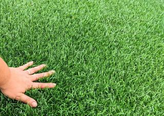 Césped artificial reciclado