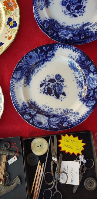 2 Piatti Jardiniere V&B