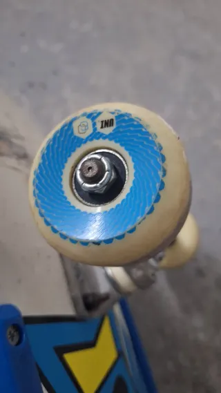 Skate Dogtown 8,6