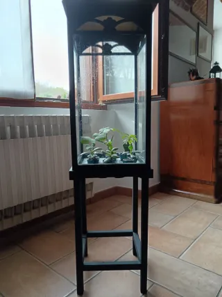 Teca espositore/lanterna con piedistallo