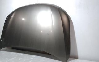 Citroen 163420 capot c-elysee seduction