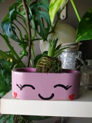 Maceta Sonrisa Hecha a Mano