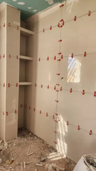Paleta oficial